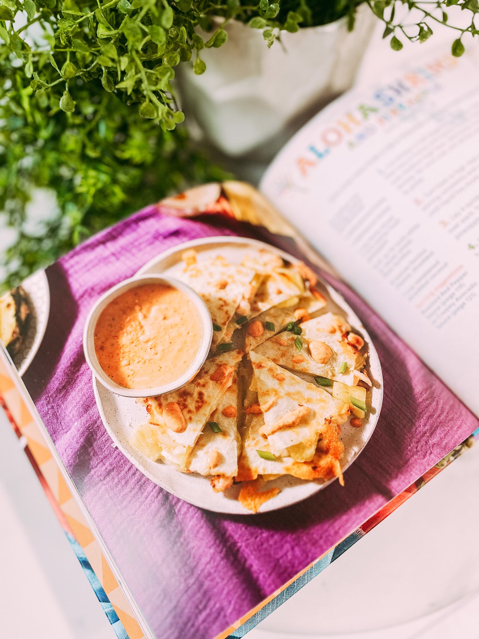 Quesadillas: New Edition