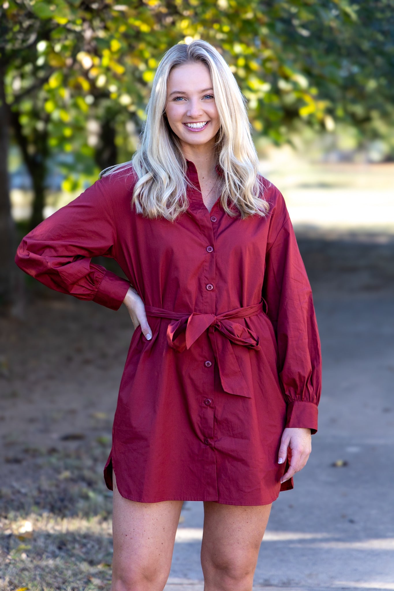 Primrose Poplin Dress