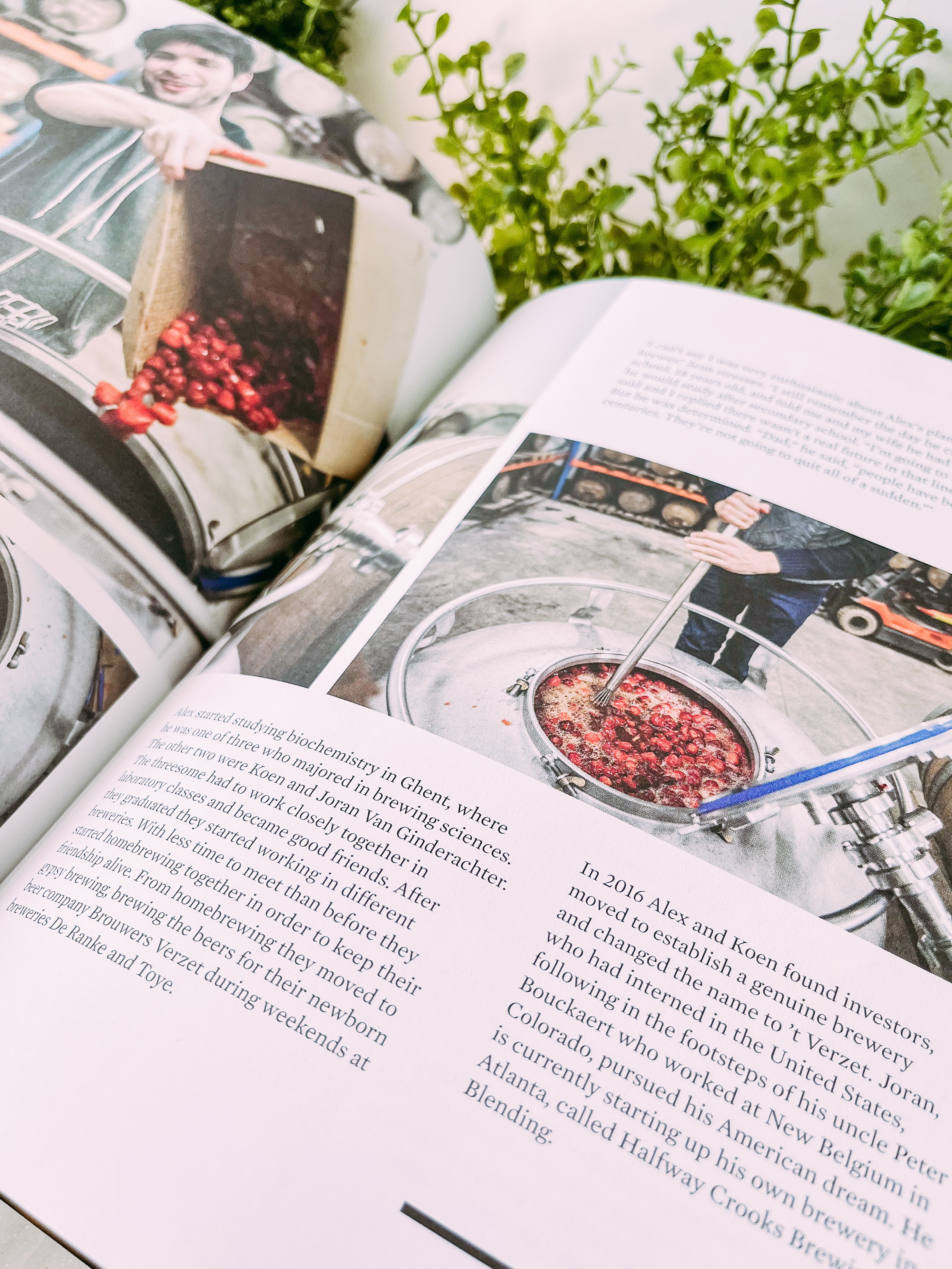 Craft Beer Brewing: The New Wave of Belgian Brewers